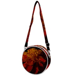 Crossbody Circle Bag 